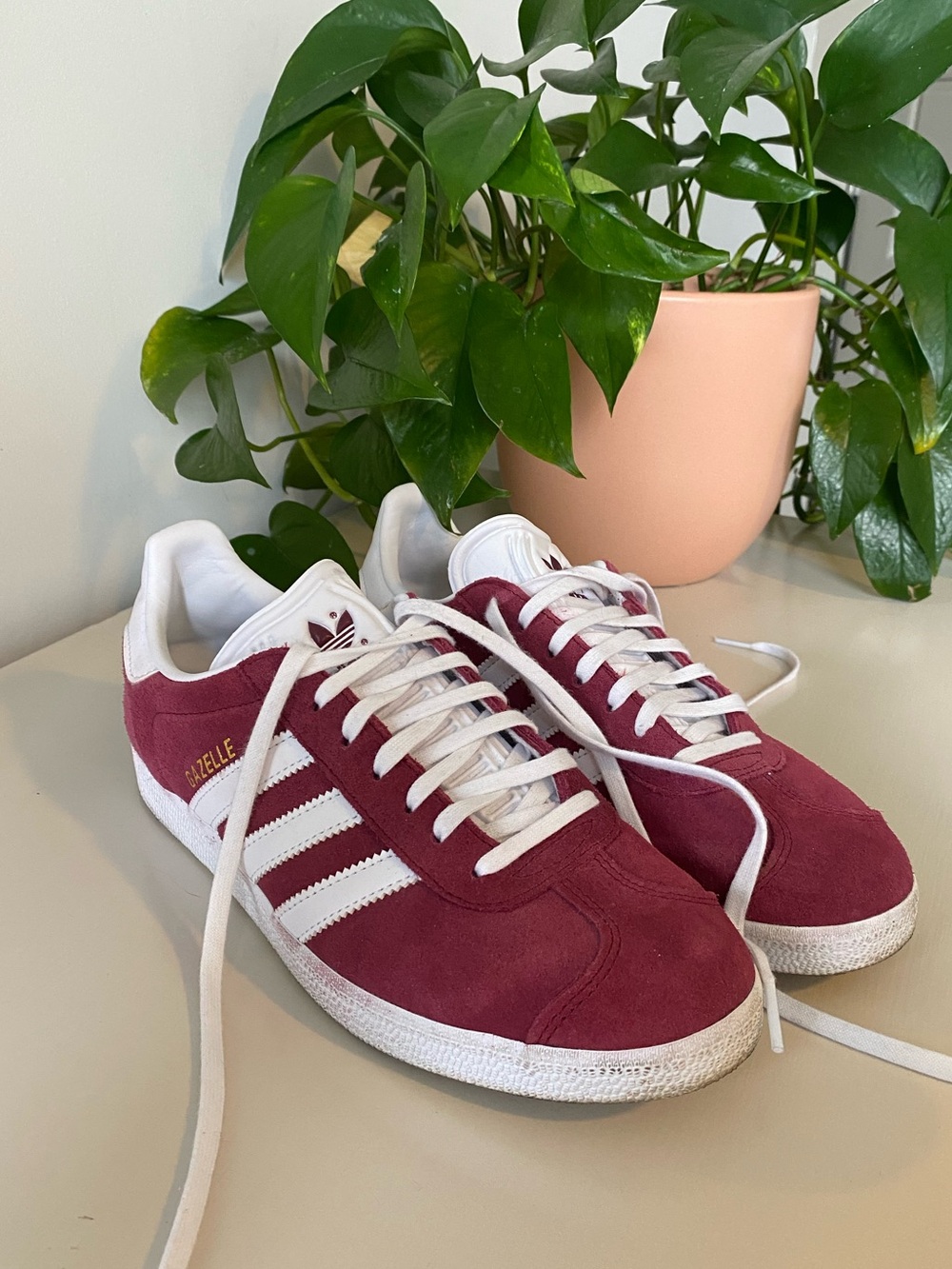 Adidas Gazelle Sneakers in Burgundy and White